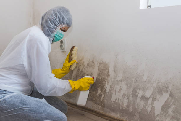 Mold Remediation for Vacation Homes in Whitewater, WI